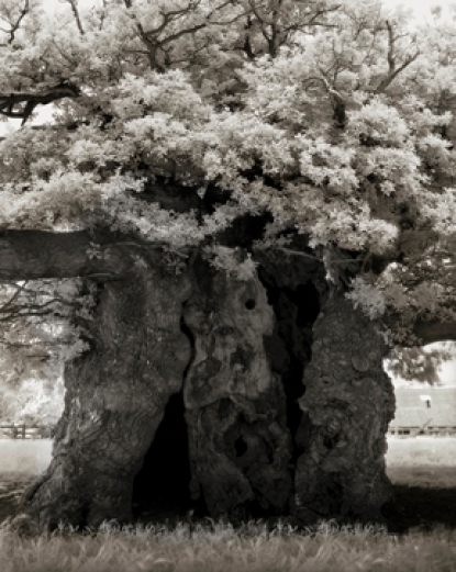 Portraits of time - Beth Moon 5