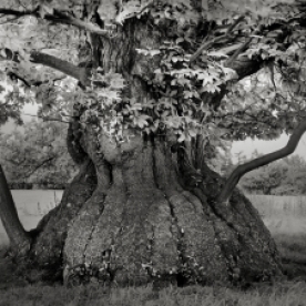 Portraits of time - Beth Moon 0000