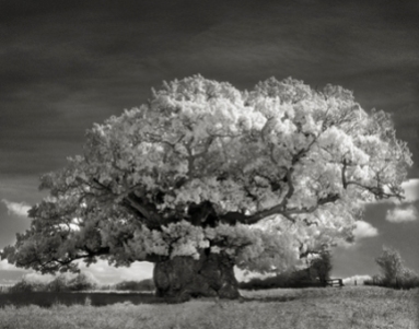 Portraits of time - Beth Moon 3