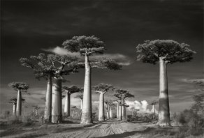 Portraits of time - Beth Moon 14