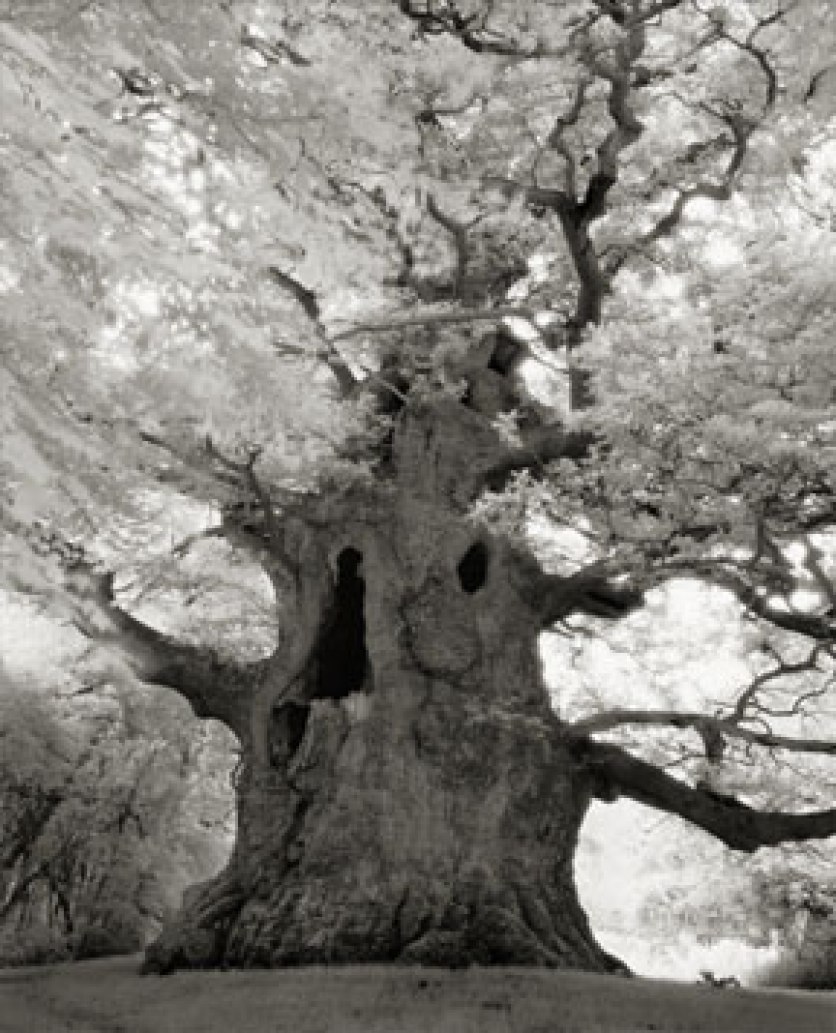 Portraits of time - Beth Moon 8