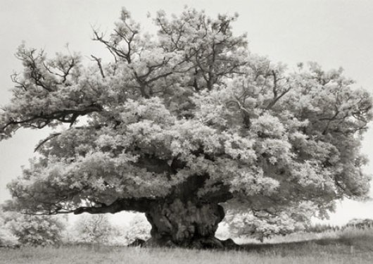 Portraits of time - Beth Moon 6