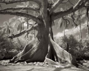 Portraits of time - Beth Moon 17